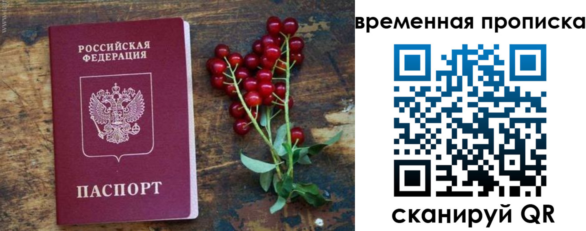 временная регистрация гарантия в Сухиничи